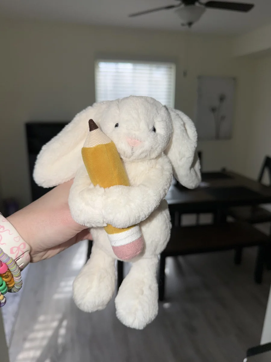 Front - Bashful Bunny with Pencil photo by alinsey