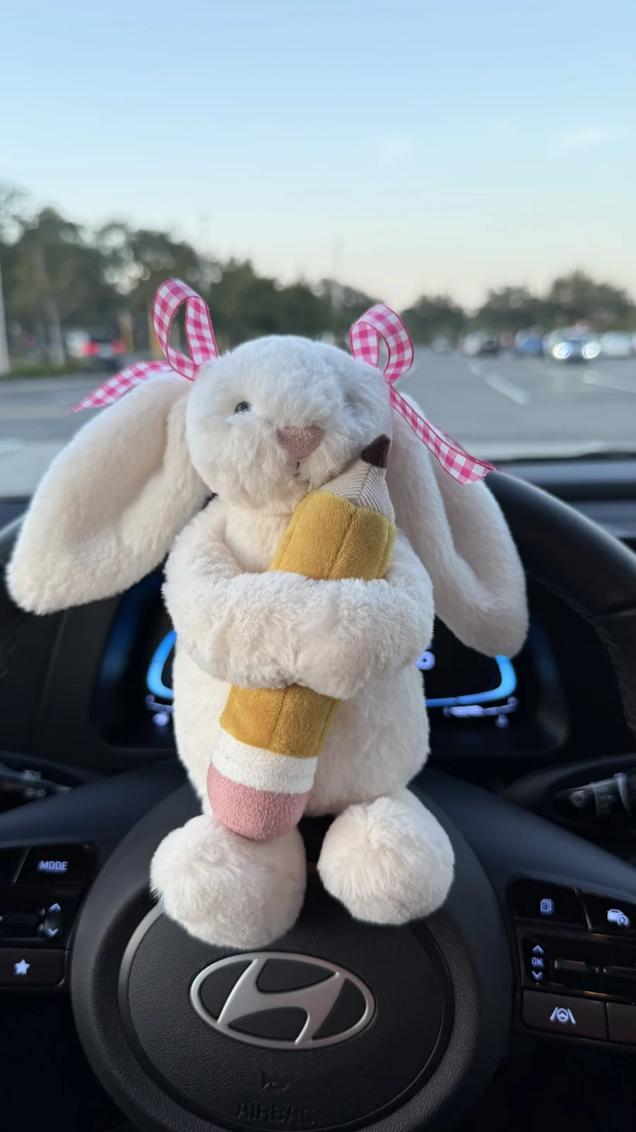 Front - Bashful Bunny with Pencil photo by bronzieandthejellies
