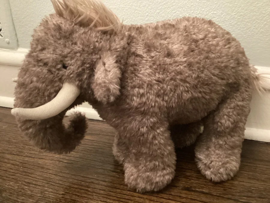 Side - Cassius Woolly Mammoth photo by Scarbar