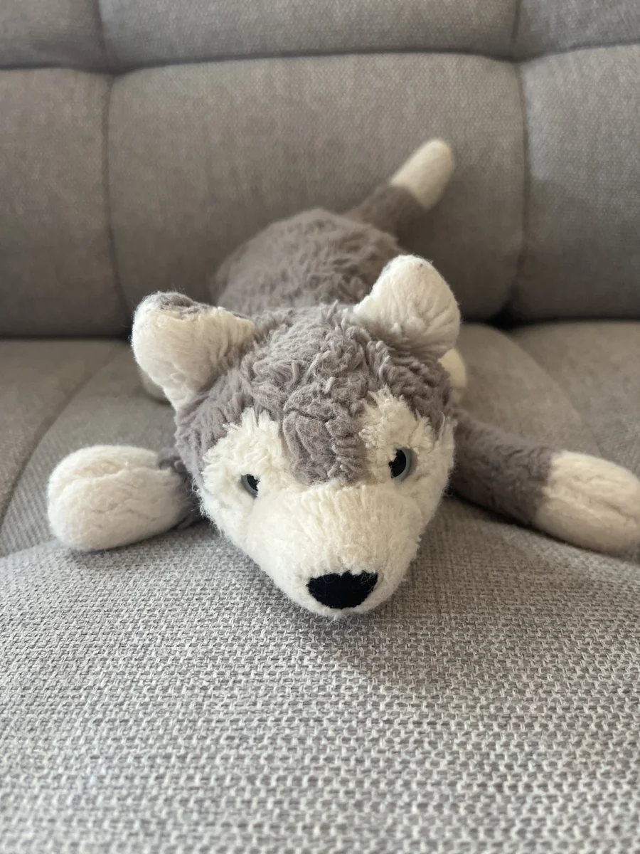 Front - Hudson Husky - Little photo by Mayajellycats13