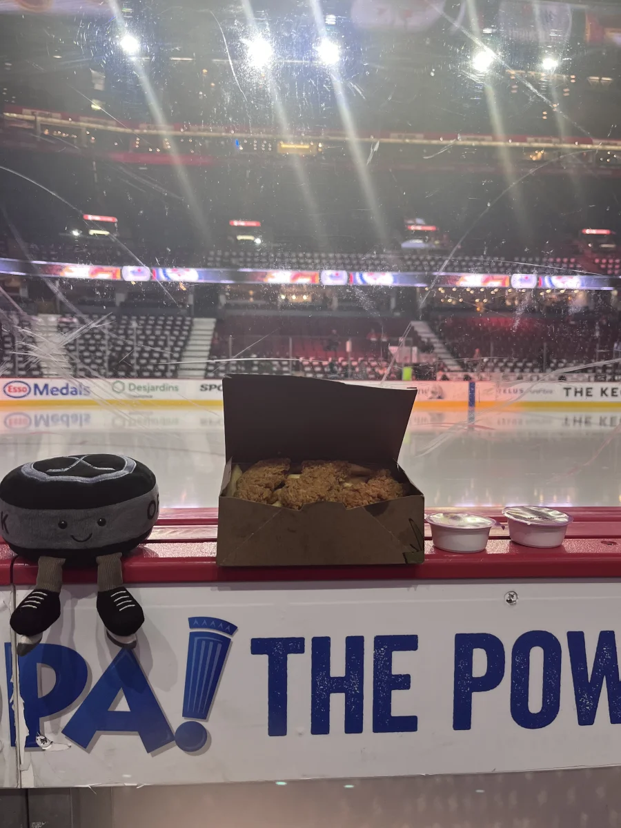 Lifestyle - Amuseables Sports Ice Hockey Puck photo by Chloe21
