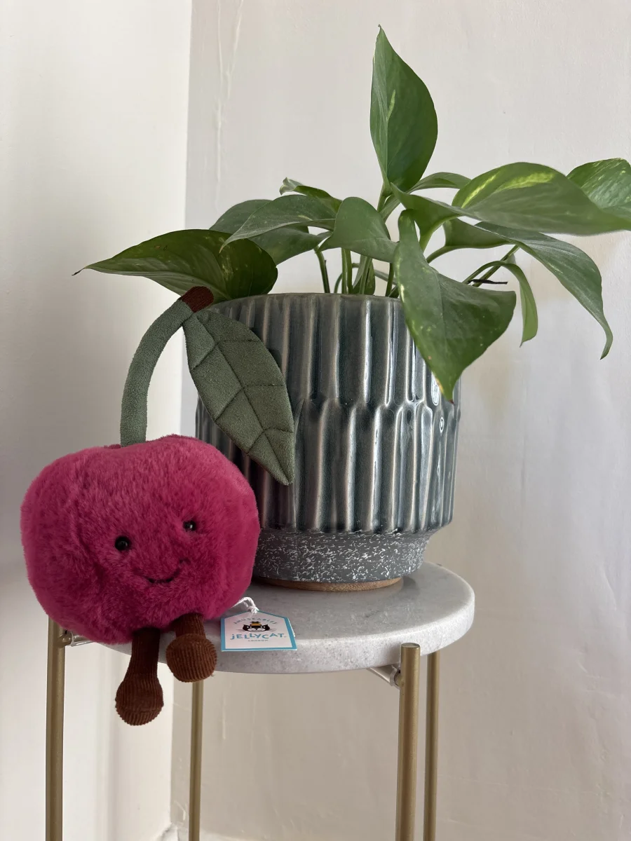 Front - Amuseables Cherry photo by emerly
