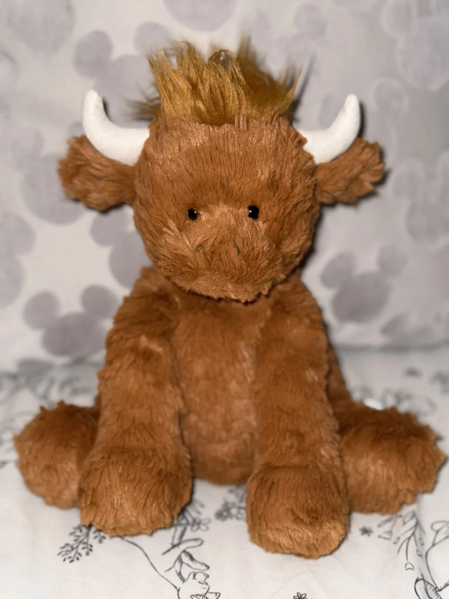 Front - Fuddlewuddle Highland Cow photo by claireyxo