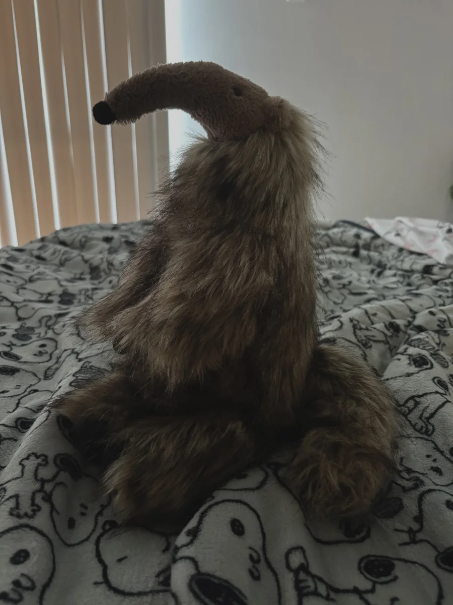 Side - Arthur Anteater photo by kaleighsjellies