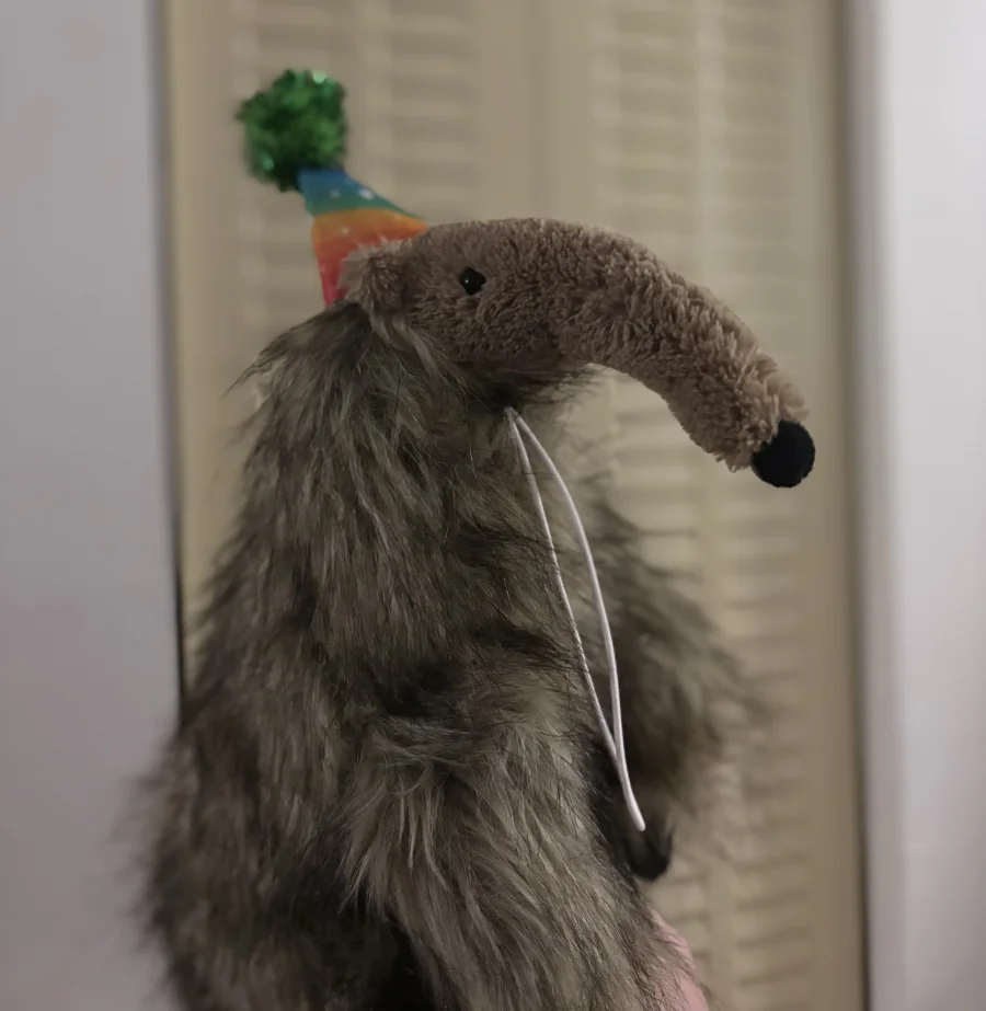 Side - Arthur Anteater photo by kaleighsjellies