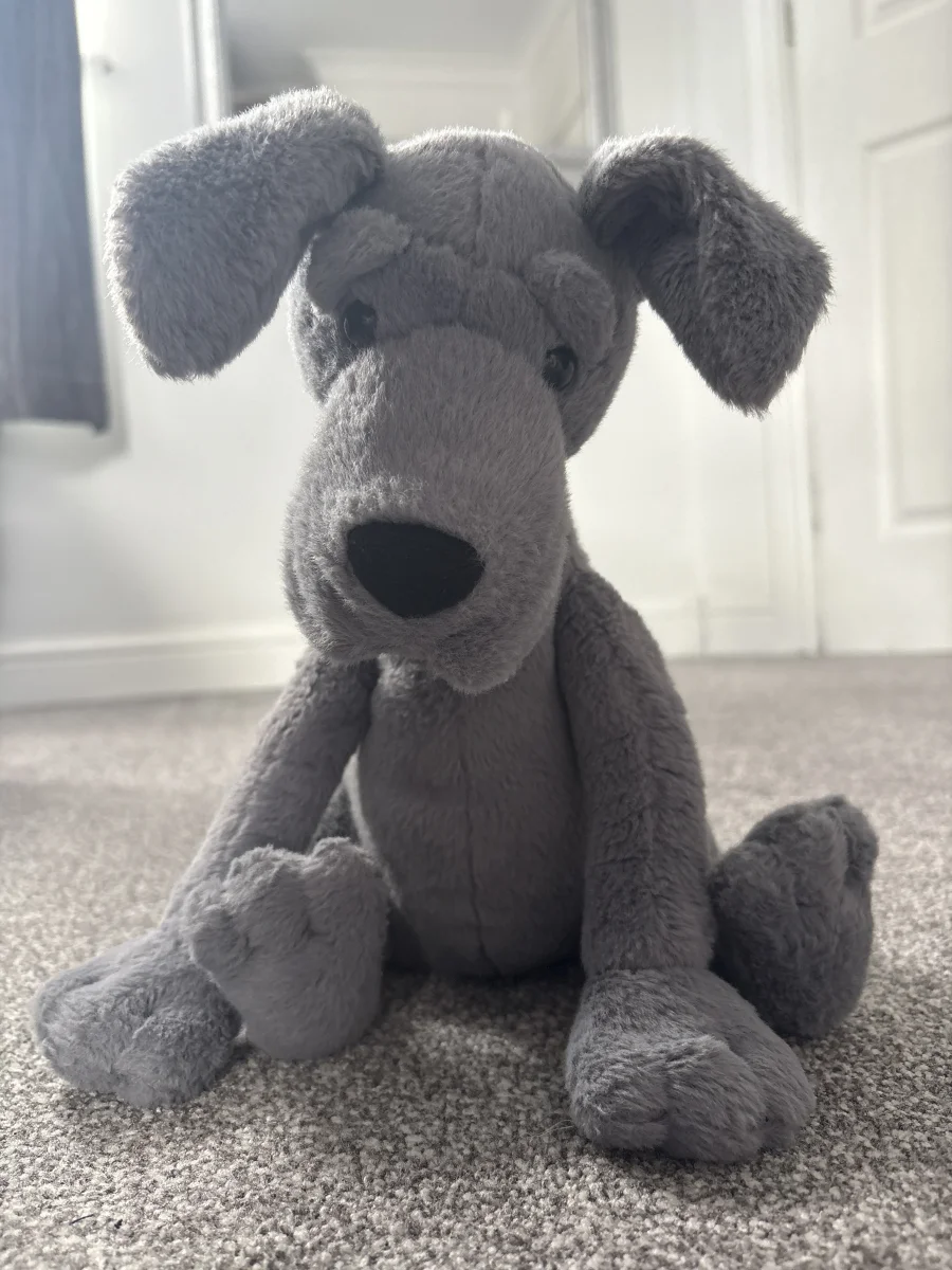 Front - Zeus Great Dane photo by sophie1458