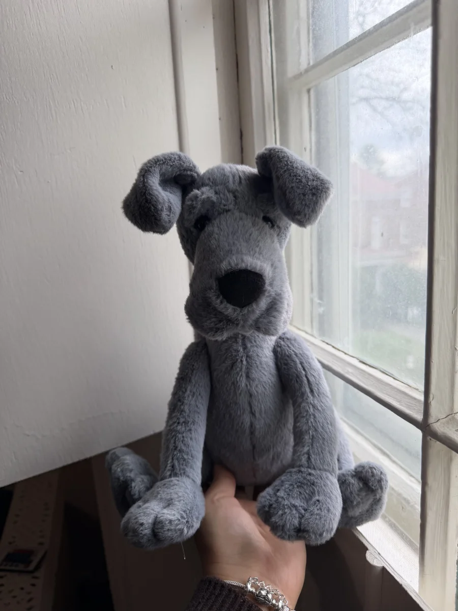 Front - Zeus Great Dane photo by katsjellies
