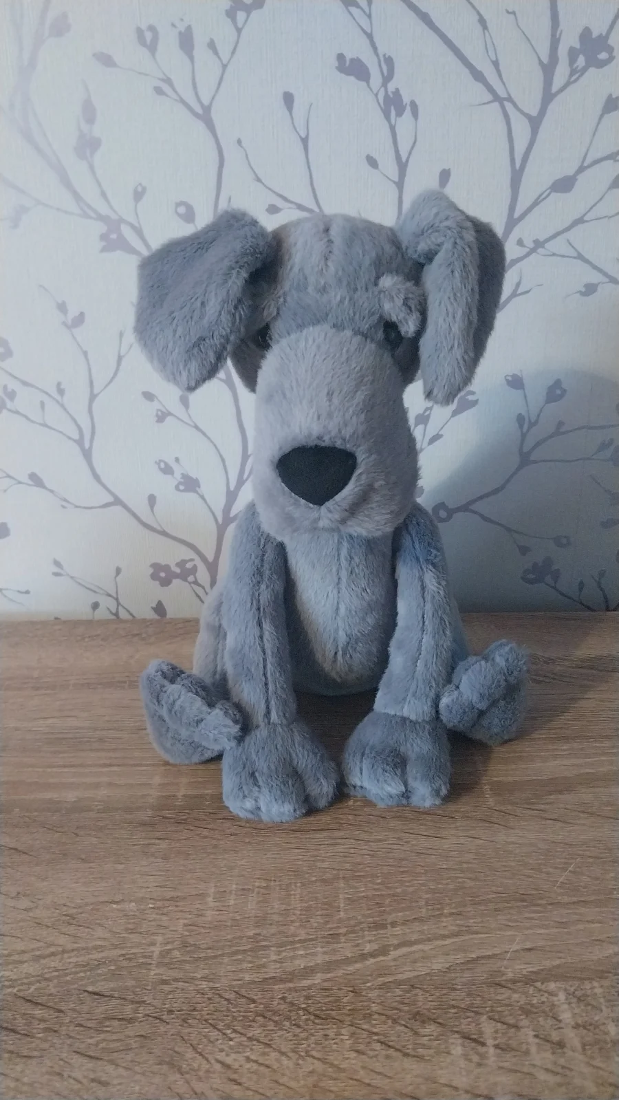 Front - Zeus Great Dane photo by Hope_Collectablez
