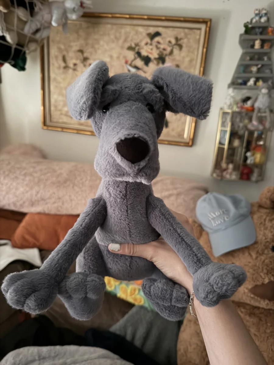 Front - Zeus Great Dane photo by amandamariejelly