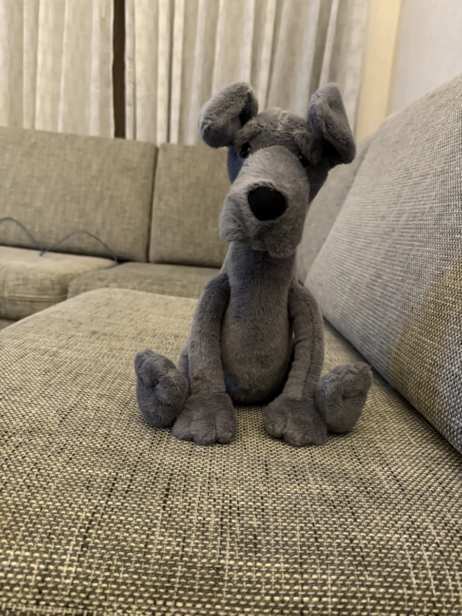 Front - Zeus Great Dane photo by Bunnylove