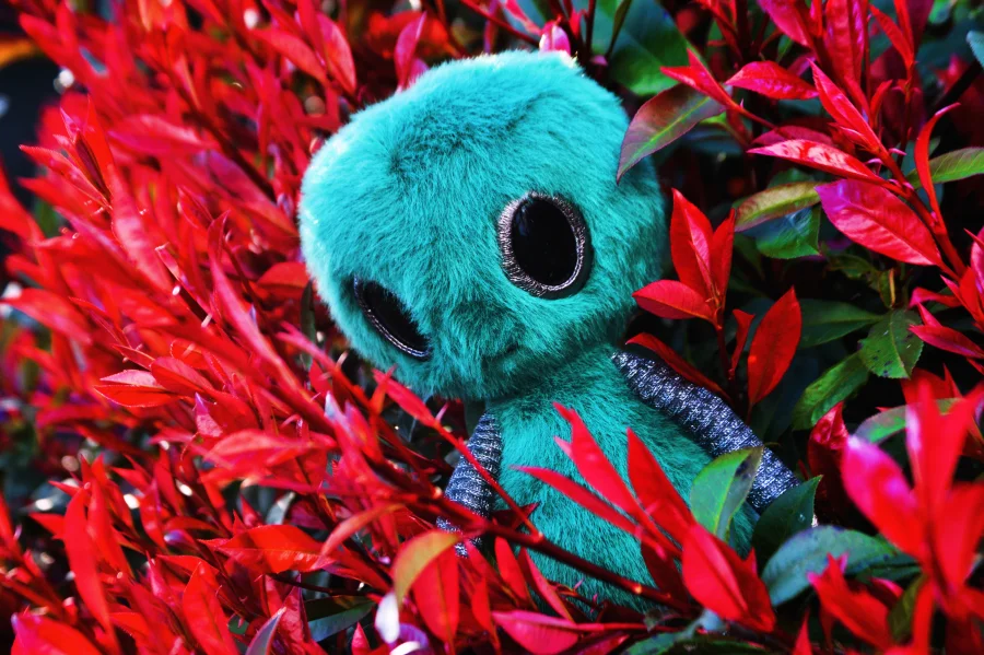 Lifestyle - Zyllan Alien photo by Vivi68