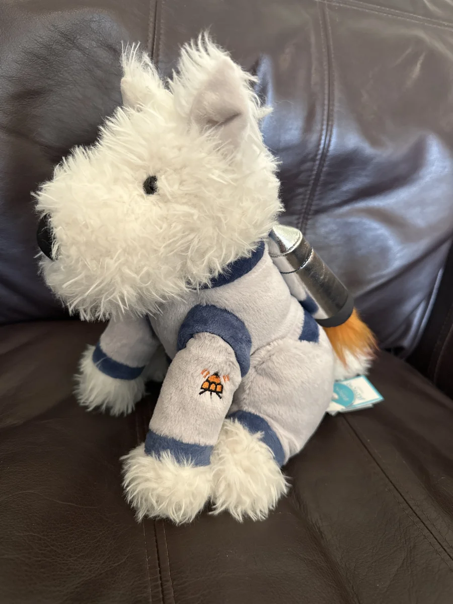 Side - Munro Space Dog photo by Jellytastic