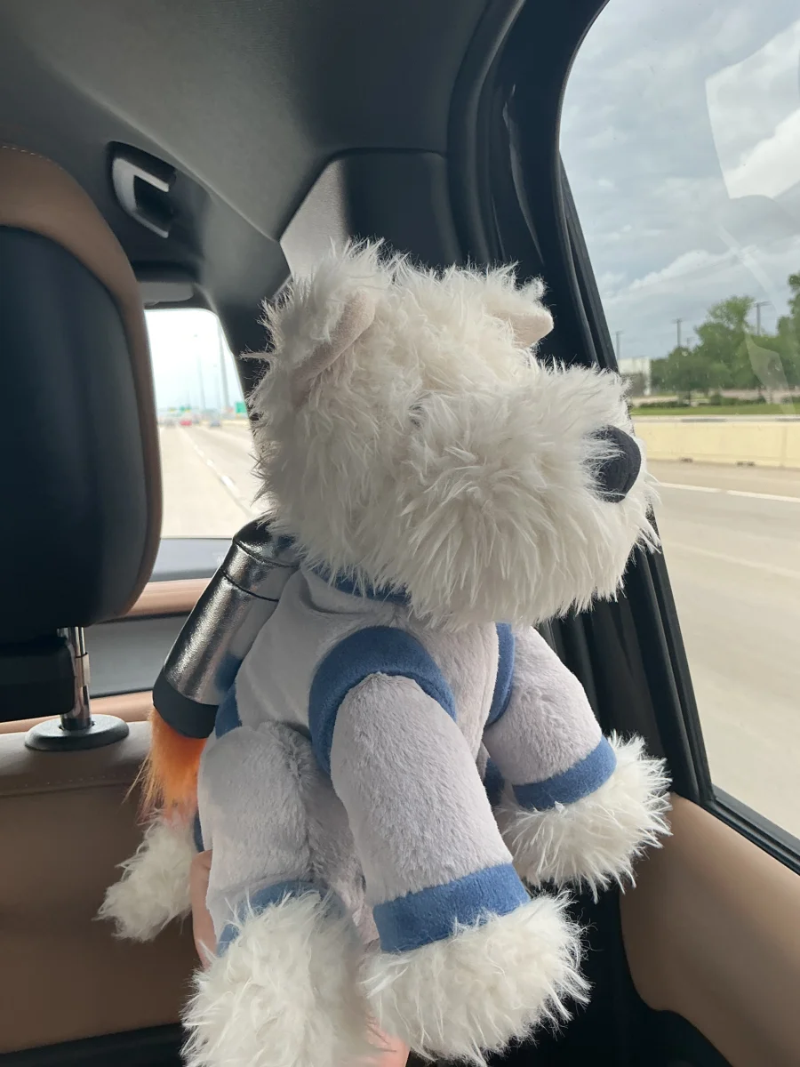 Side - Munro Space Dog photo by Leah_hilliard