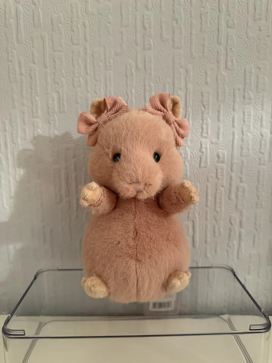 Front - Hank Hamster photo by Bethanyxox