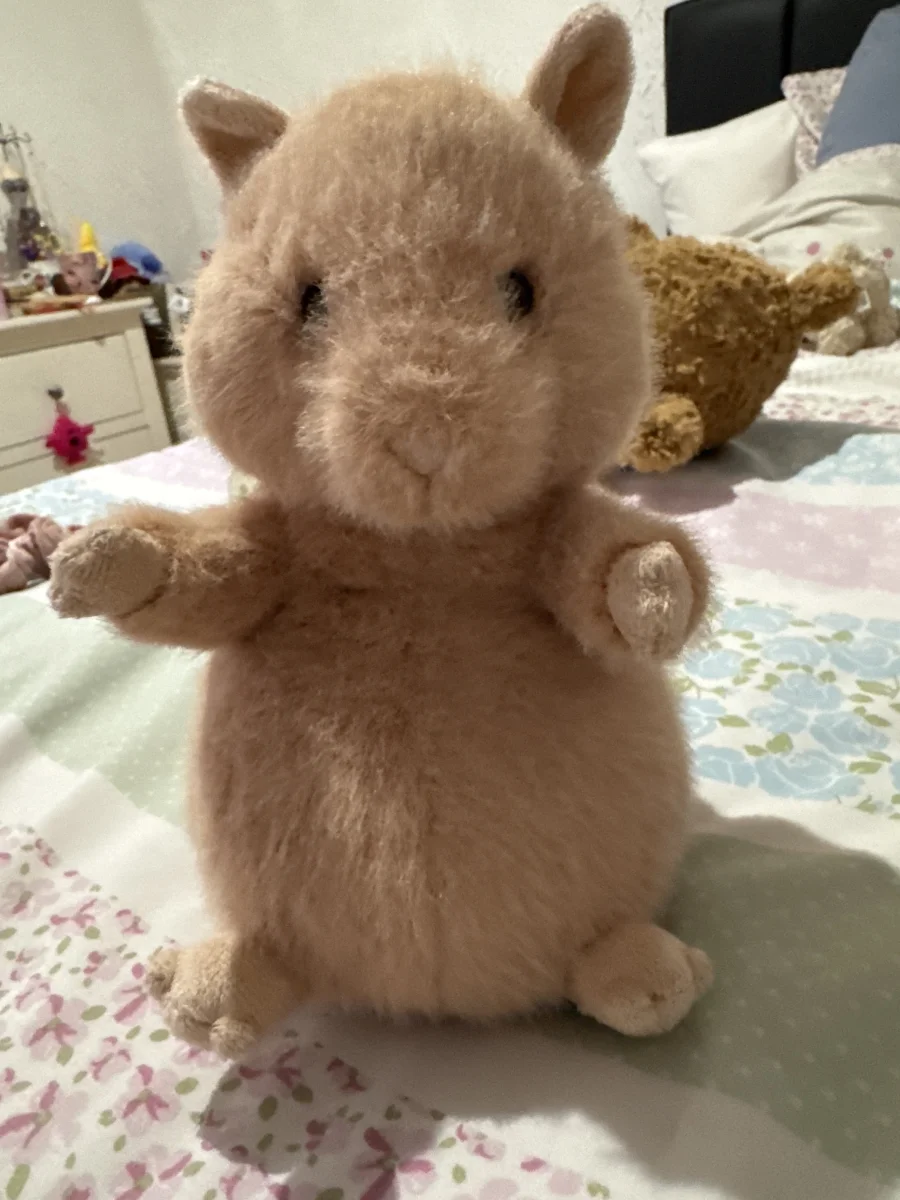 Front - Hank Hamster photo by Queen_xlilyx