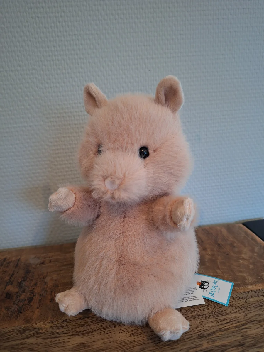 Front - Hank Hamster photo by Sofie