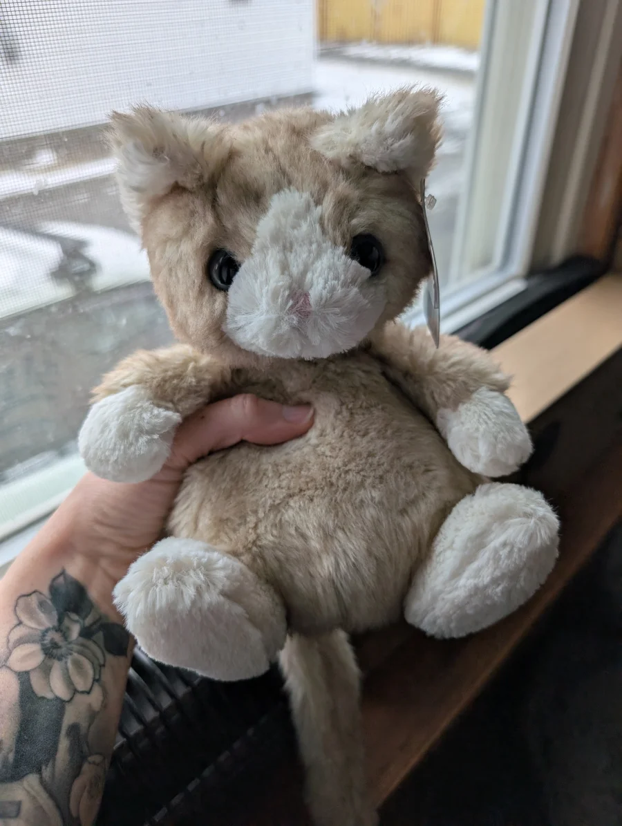 Front - Molly Mitten Kitten photo by Vaetki