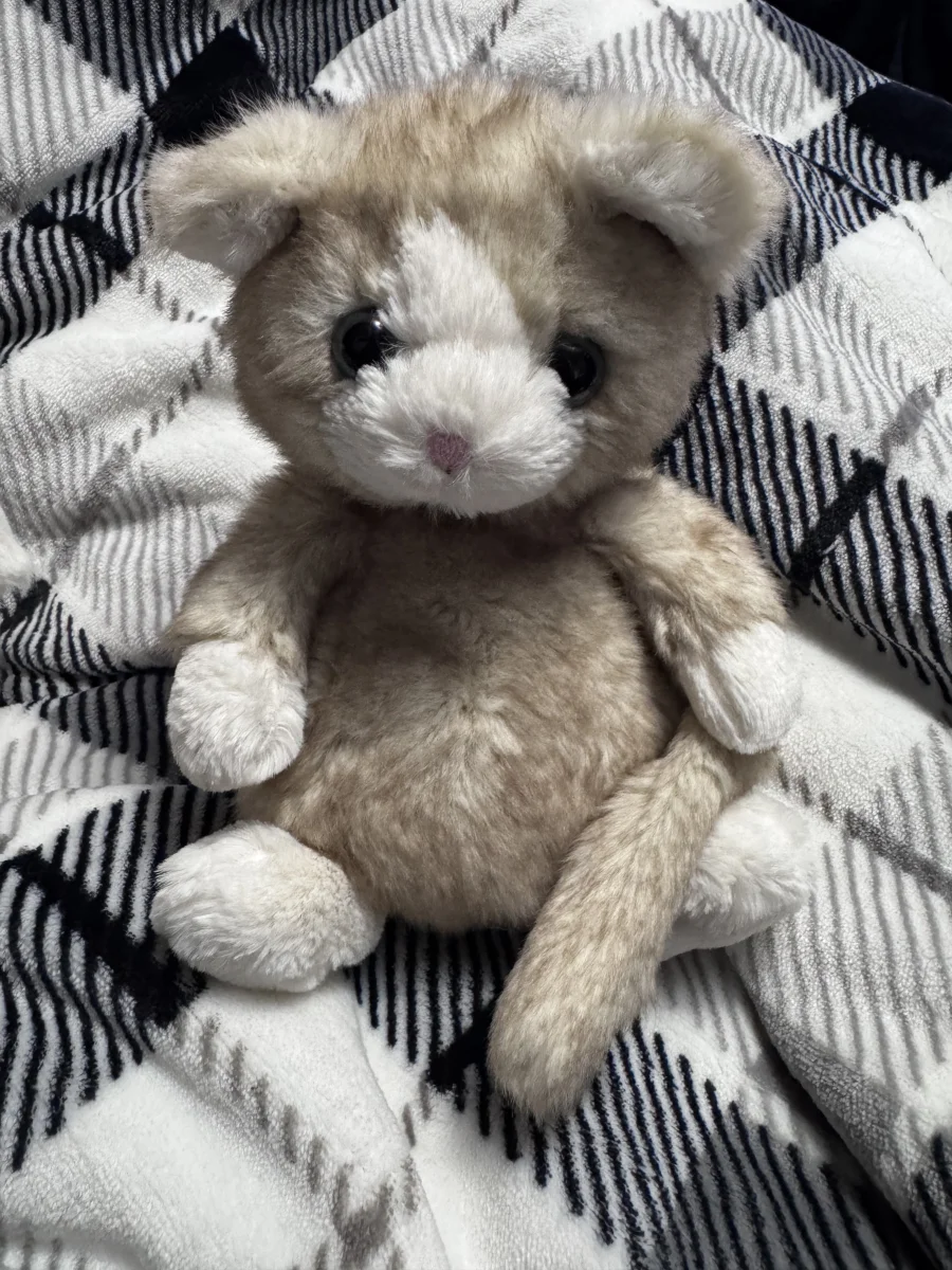 Front - Molly Mitten Kitten photo by MiauuNeko