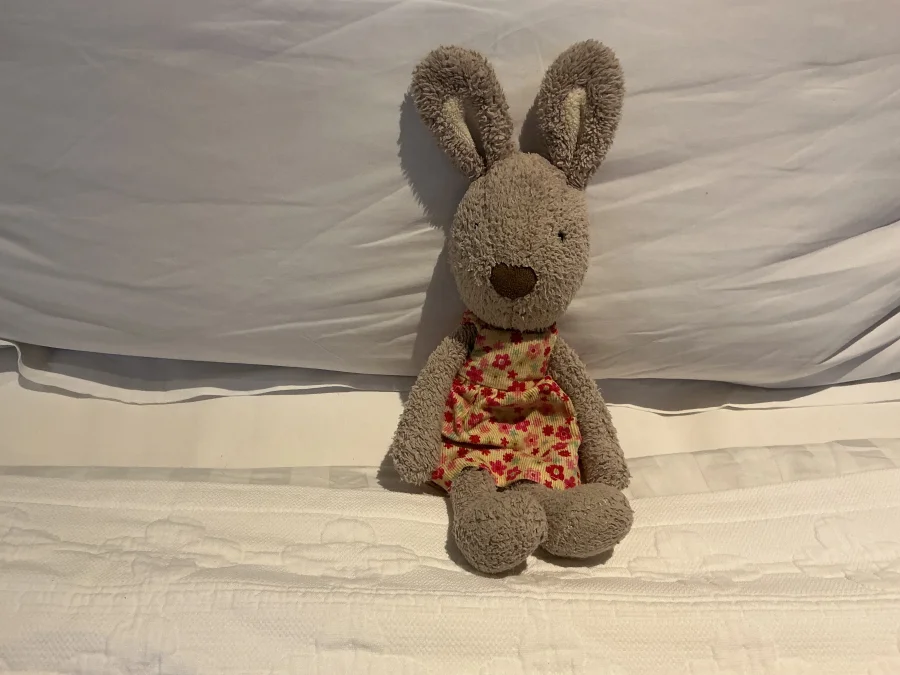 Front - Floral Friends Beatrice Bunny photo by Mbunny7712
