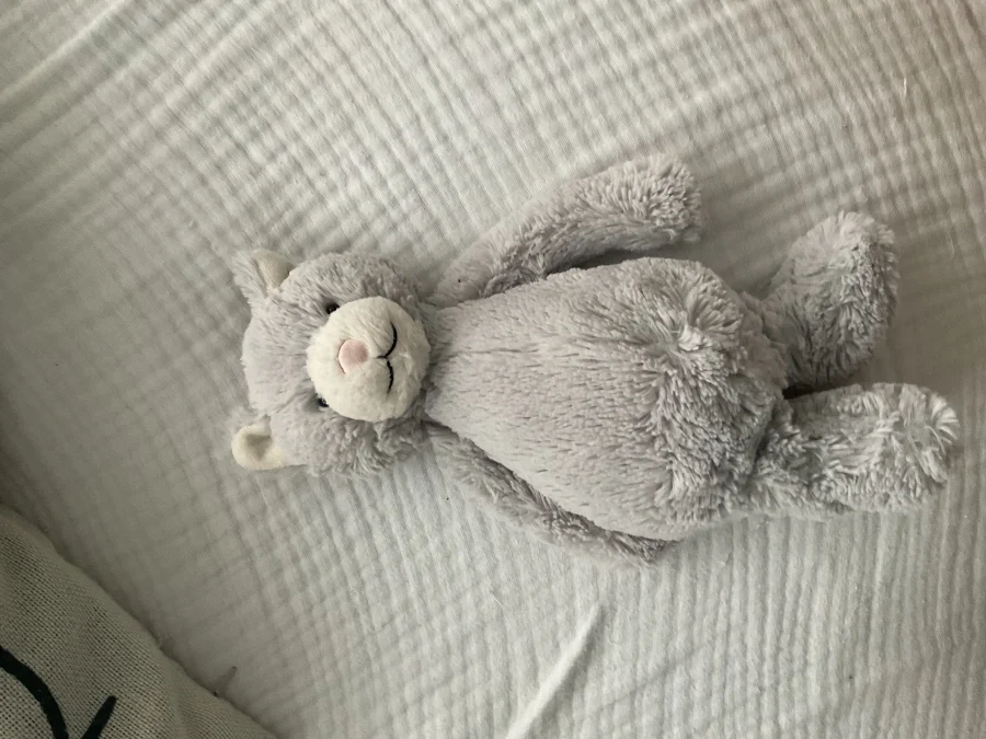 Front - Bashful Grey Kitty - Medium photo by Niamia