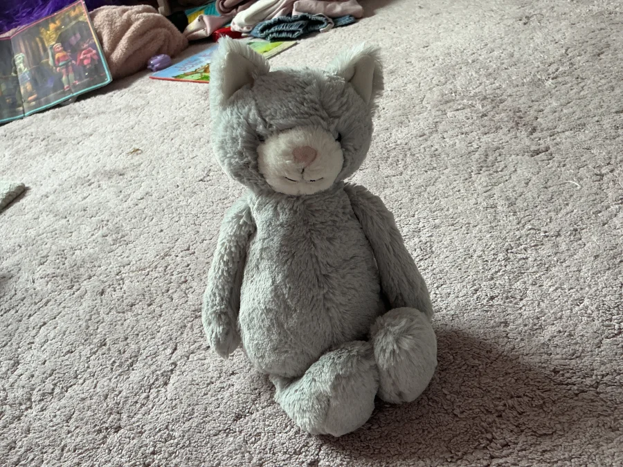 Front - Bashful Grey Kitty - Medium photo by Asdqueen5678