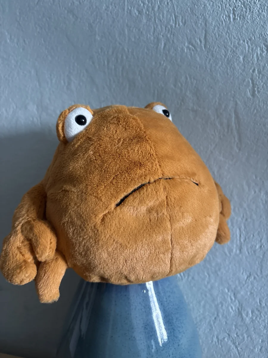 Front - Chrissie Crab photo by Stellicat