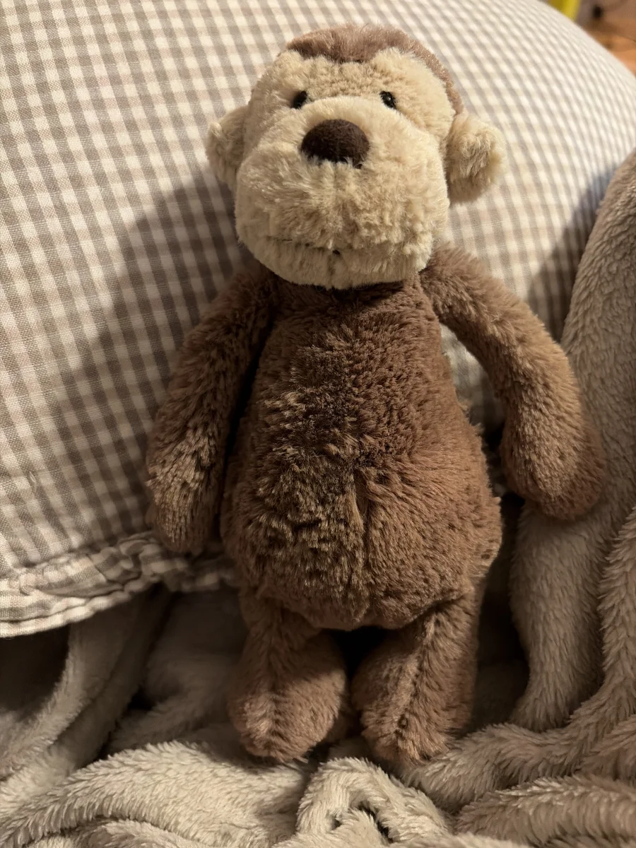 Front - Bashful Monkey - Little photo by Cloejess