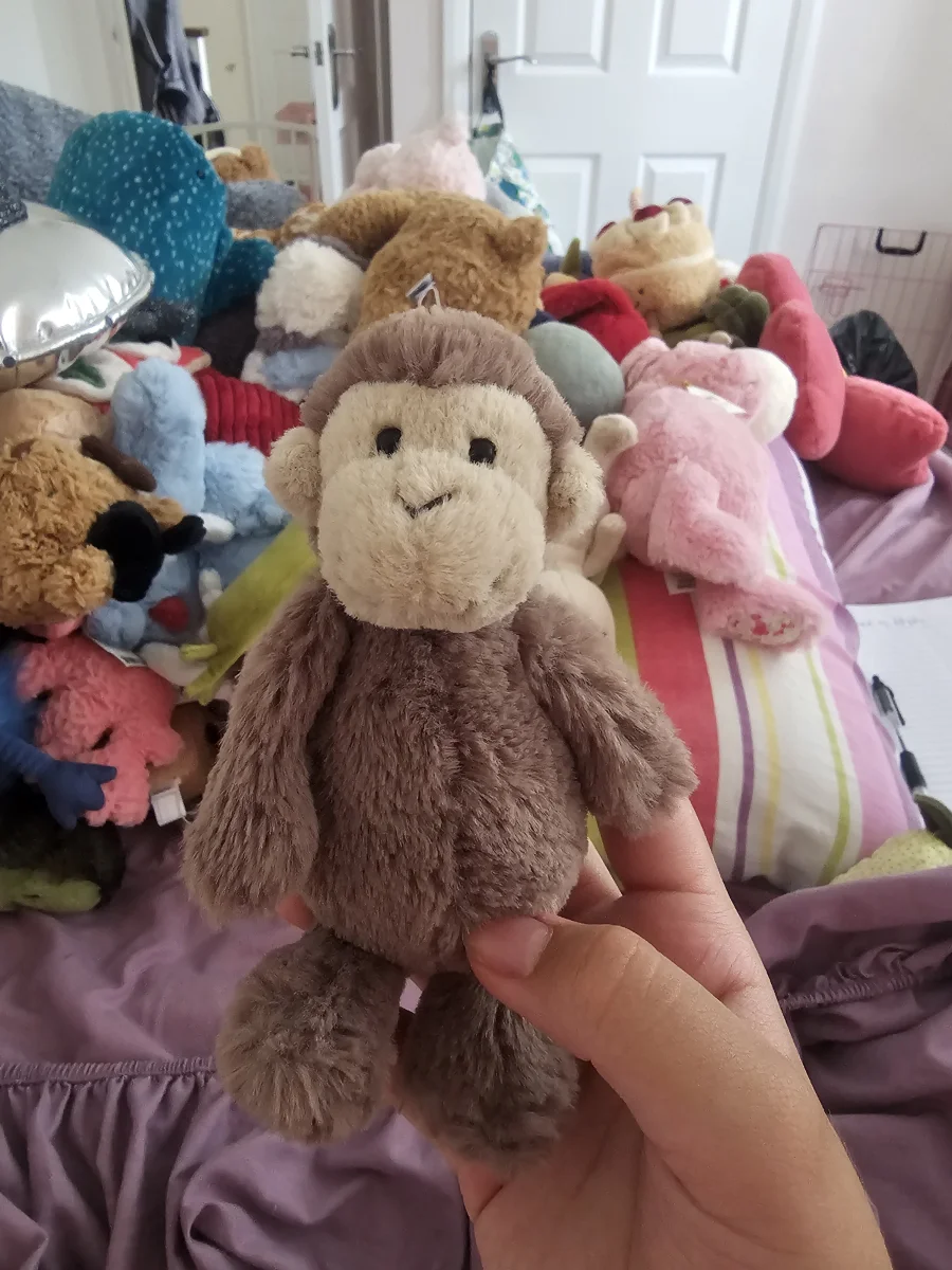 Front - Bashful Monkey - Little photo by lynlyn28461