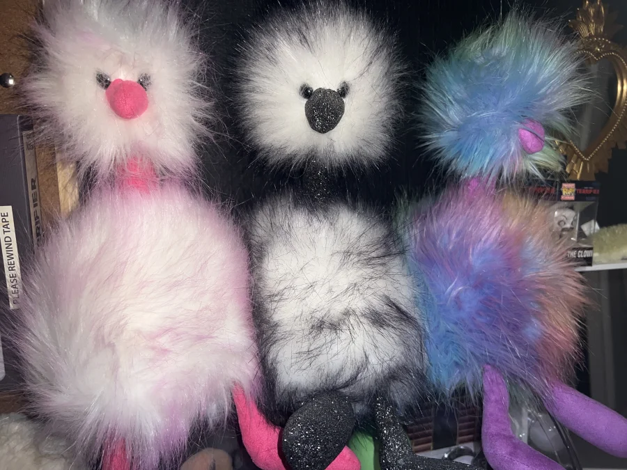 Front - Pompom Dazzle – Medium photo by Starsjellys