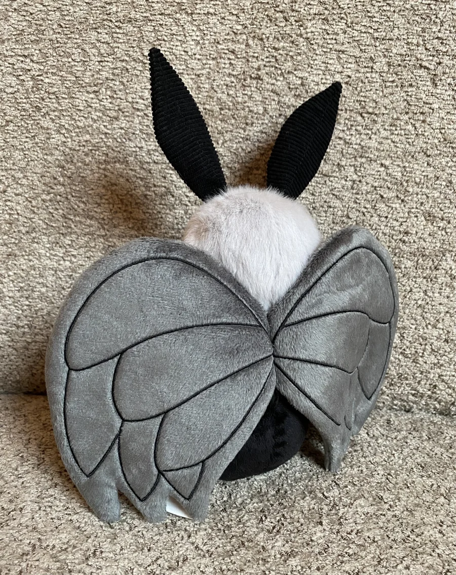 Back - Miff Mothman photo by JellyDragonLover