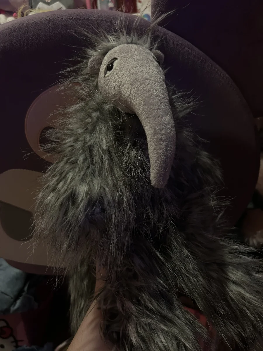 Front - Arnie Anteater photo by angelsjellycats