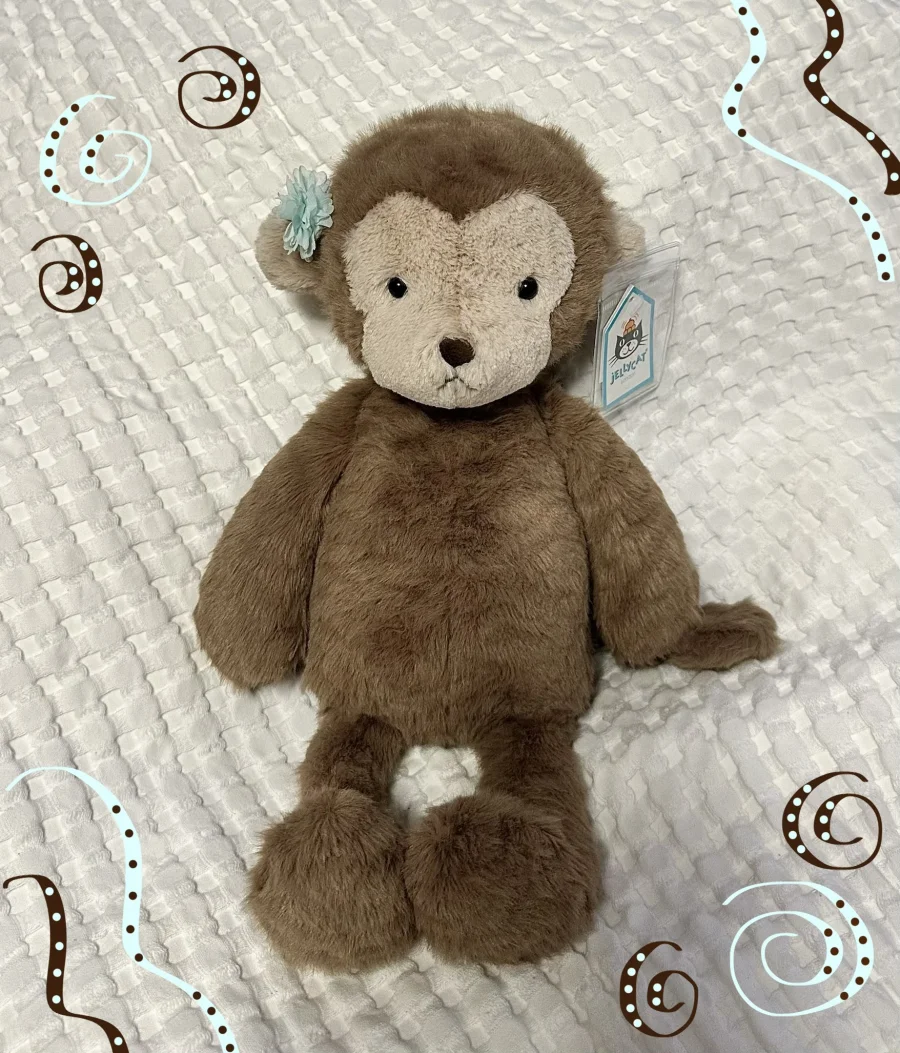 Front - Rolie Polie Monkey photo by Shyrin Jellies