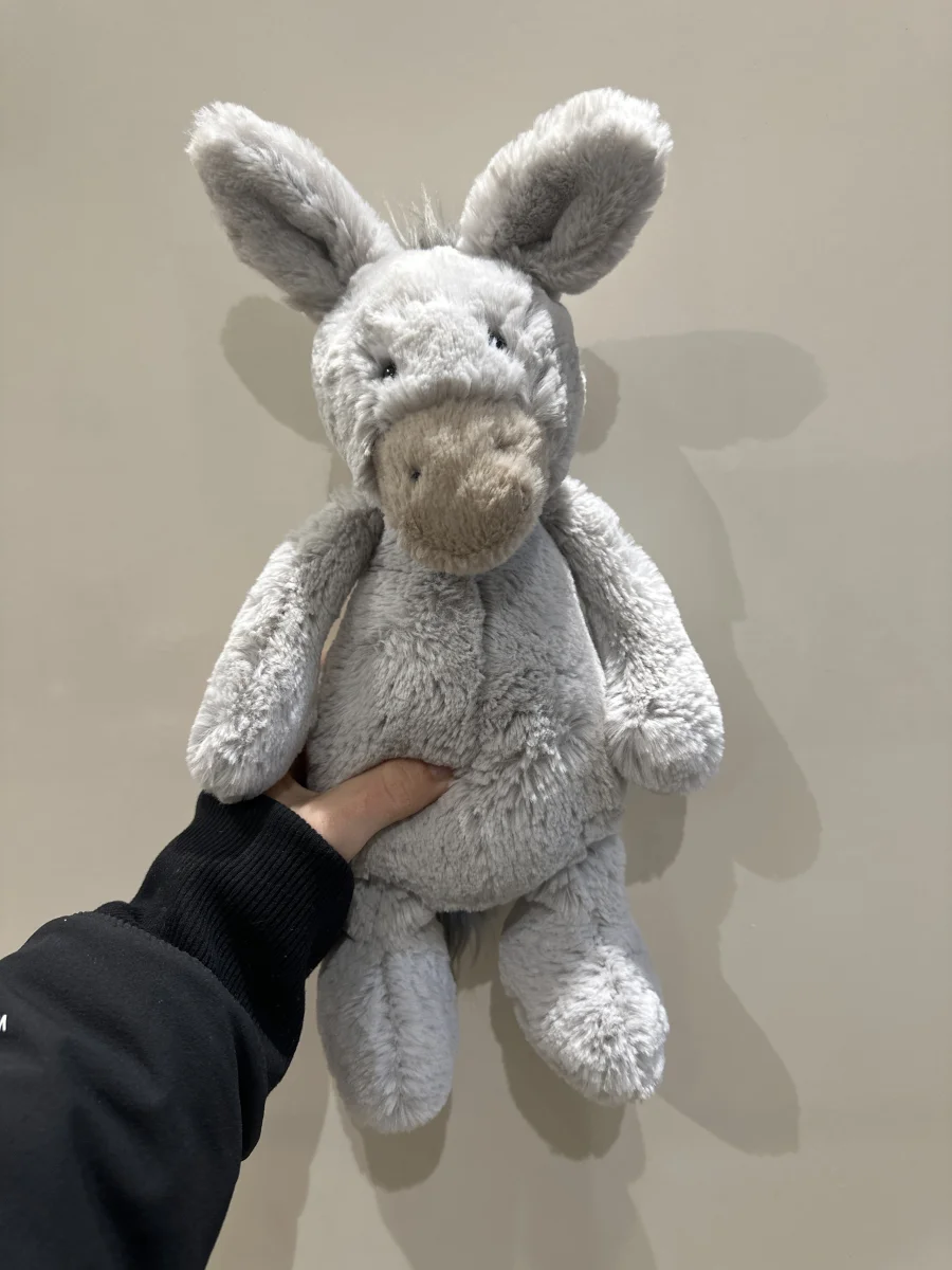 Front - Bashful Donkey (Grey) - Medium photo by NorthLdn