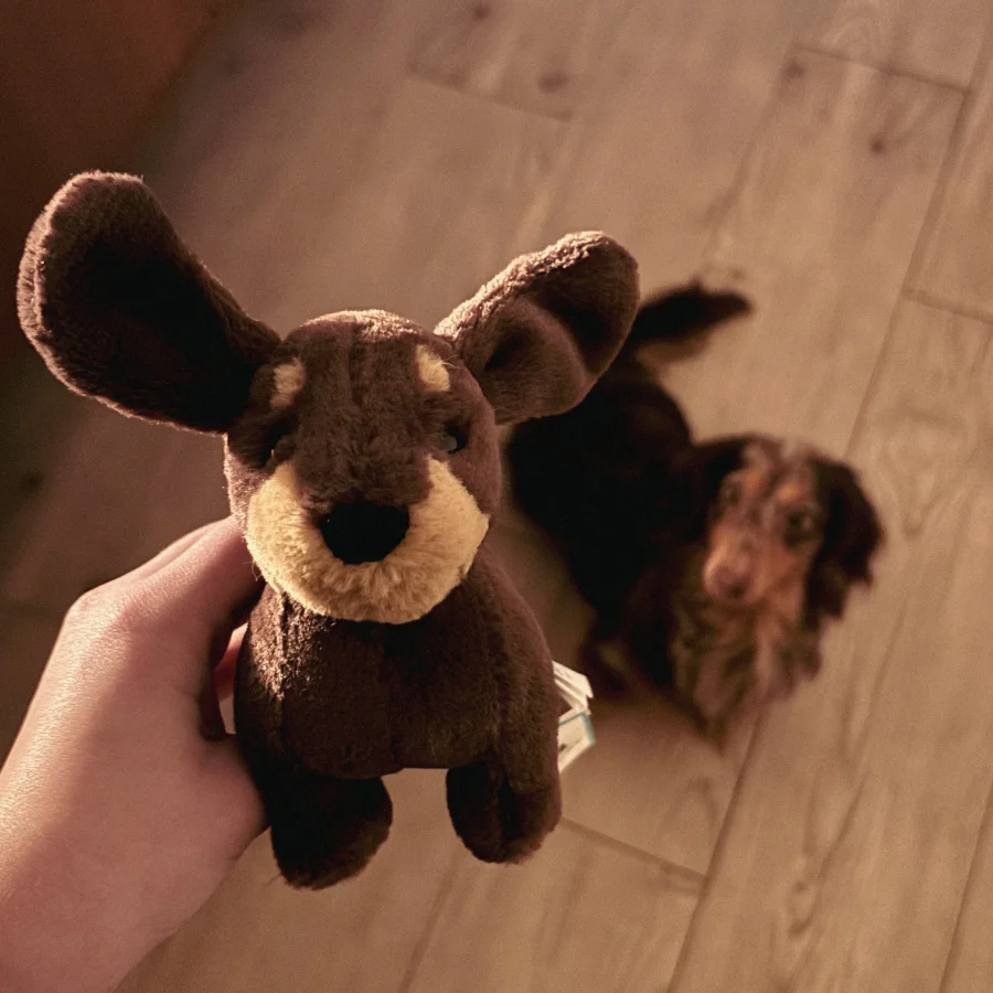 Front - Otto Sausage Dog - Small photo by the_jelly_jungle