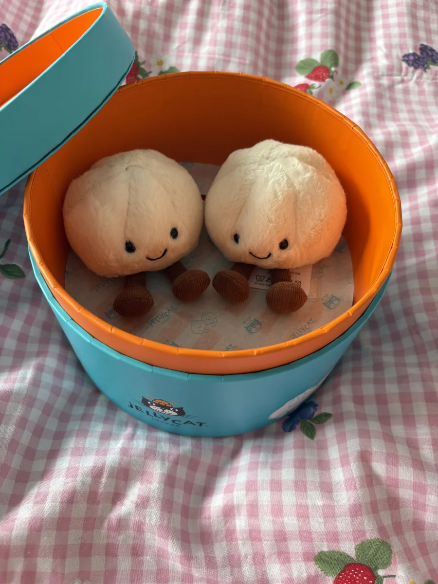 Front - Yum & Sum Dumplings 🇨🇳 photo by Mimi_Mushroom14