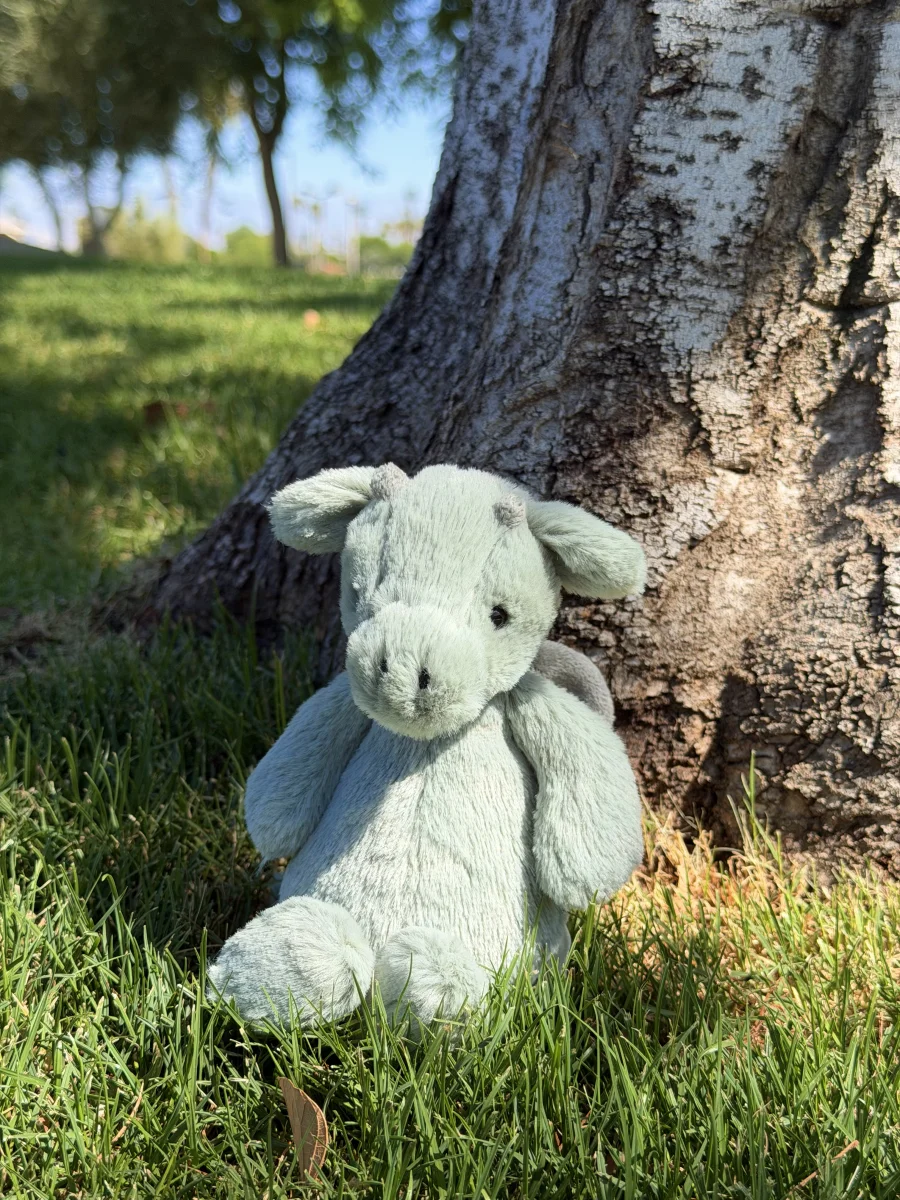 Front - Bashful Dragon - Small photo by jellycatangel