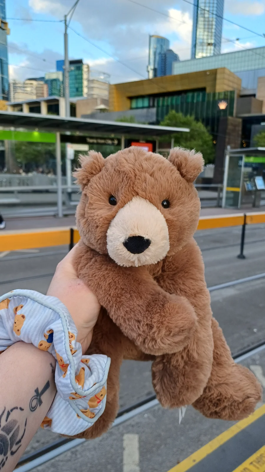 Front - Woody Bear photo by herbgardenplush