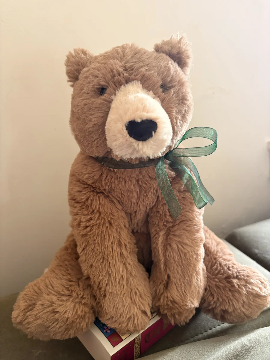 Front - Woody Bear photo by MerlinNessieRaven