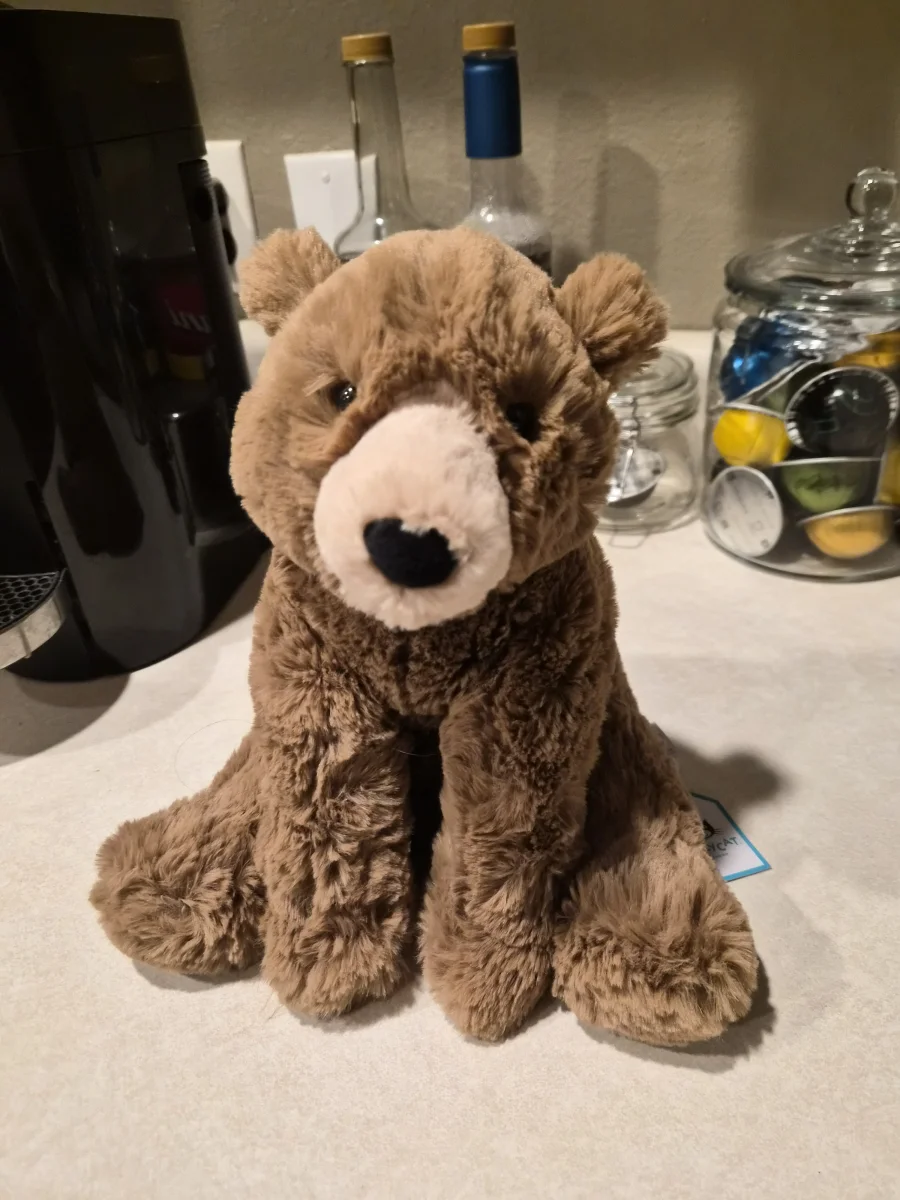 Front - Woody Bear photo by savvyrae