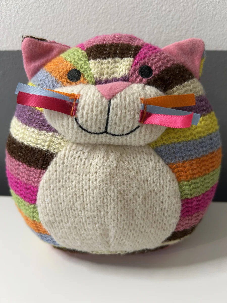 Front - Meow Cat photo by TishWish