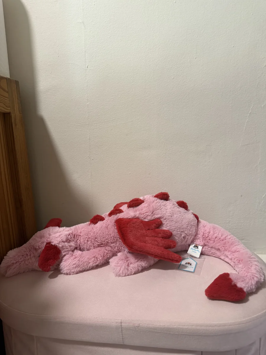 Front - Heart Dragon photo by katsjellies
