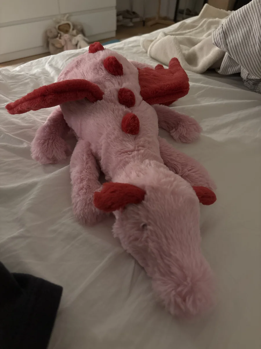 Front - Heart Dragon photo by SofieA