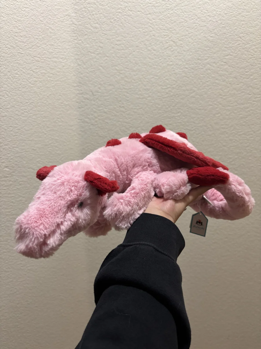 Front - Heart Dragon photo by jelly20