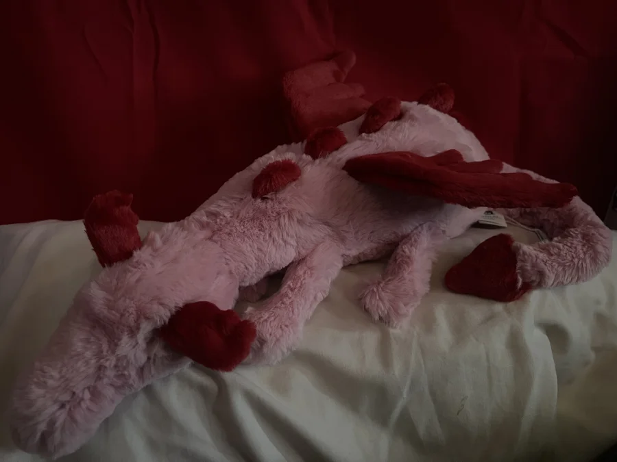 Side - Heart Dragon photo by Axel