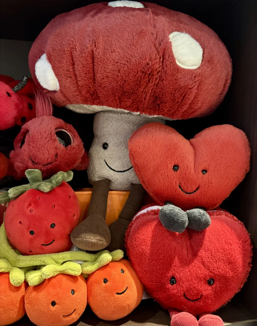 Lifestyle - Amuseables Arlette Heart Macaron photo by the_jelly_jungle