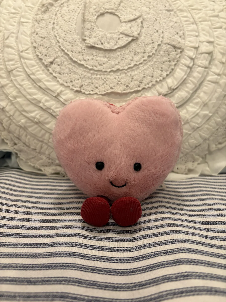 Front - Amuseables Colette Heart Macaron photo by fran_pancakes