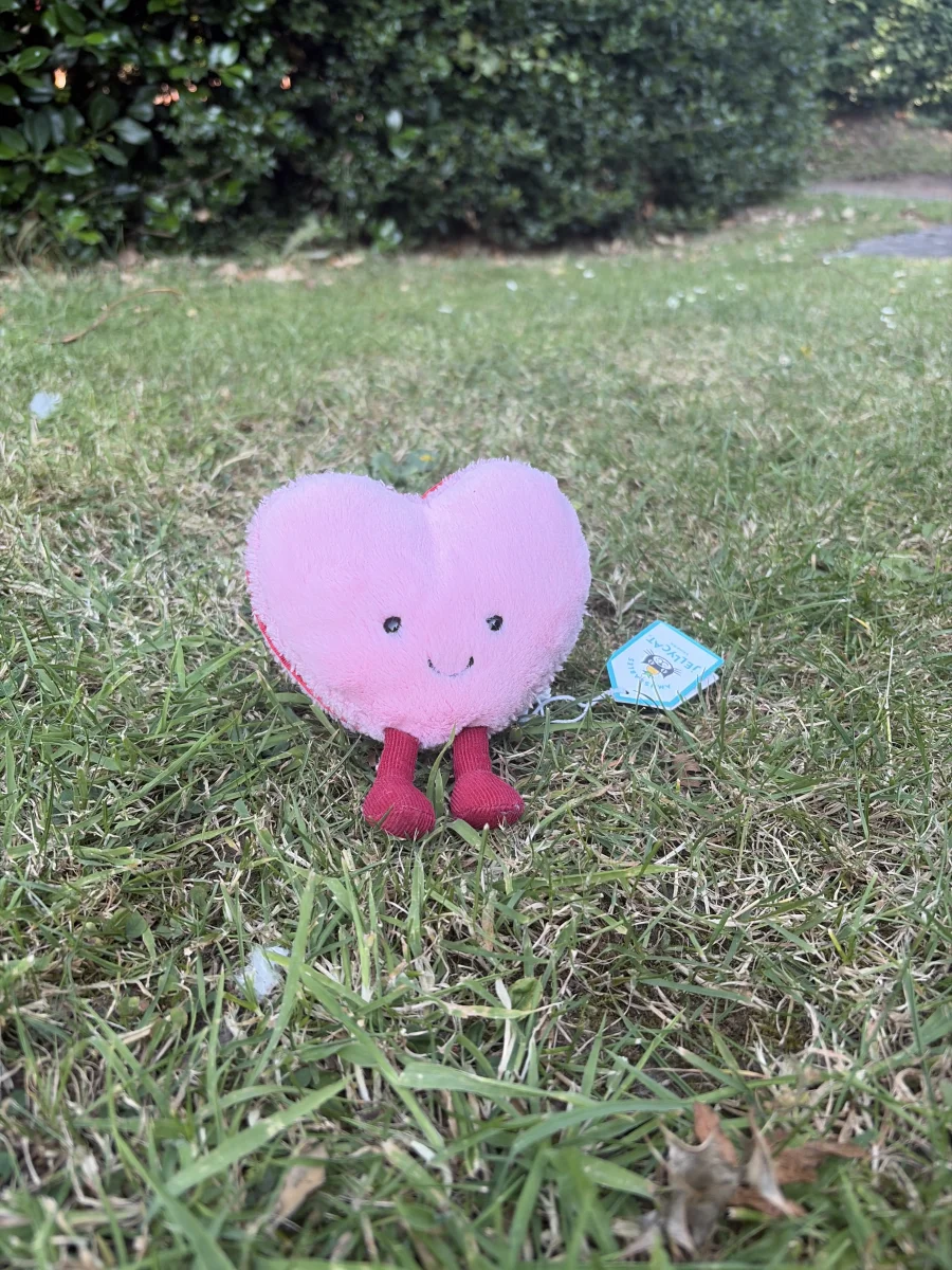 Front - Amuseables Colette Heart Macaron photo by JellyRob