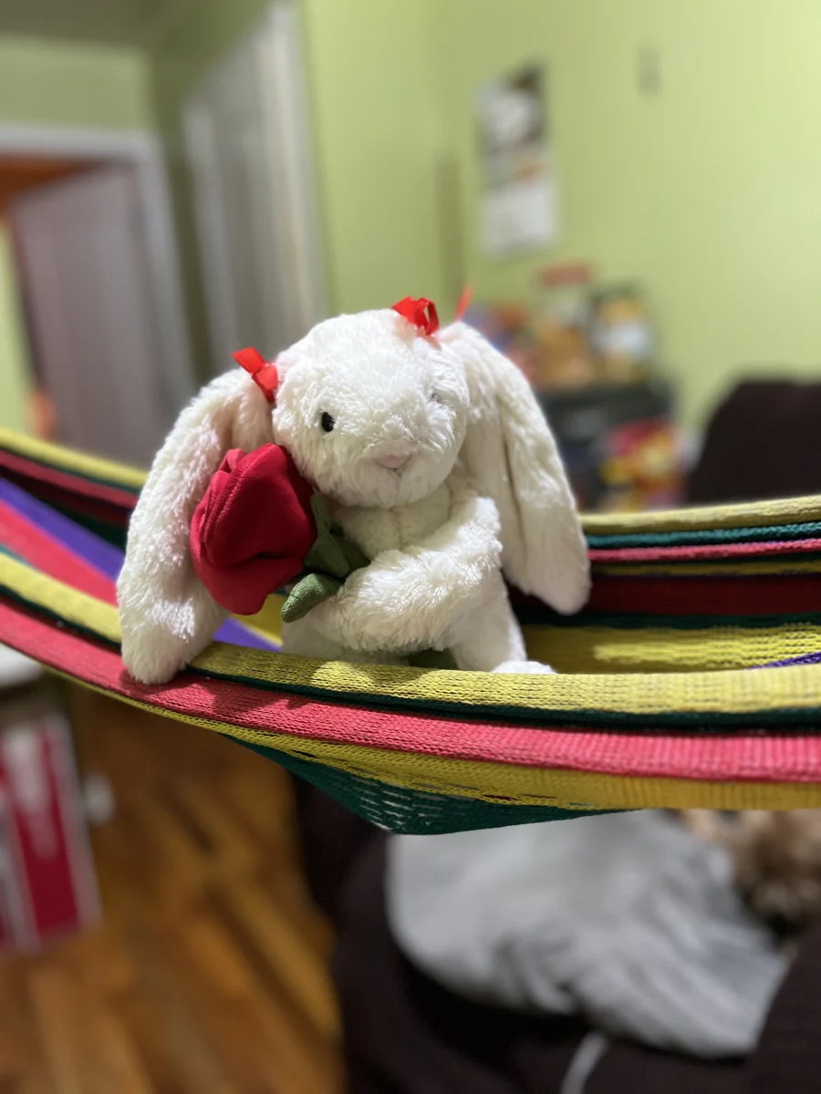 Lifestyle - Cream Bunny with Rose photo by dijac94