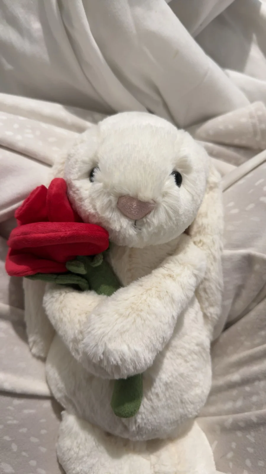 Front - Cream Bunny with Rose photo by fleuescentj