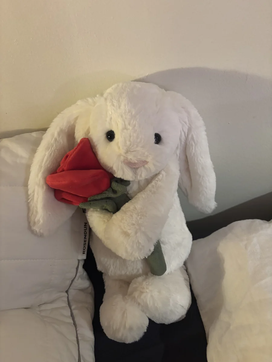 Front - Cream Bunny with Rose photo by monki123